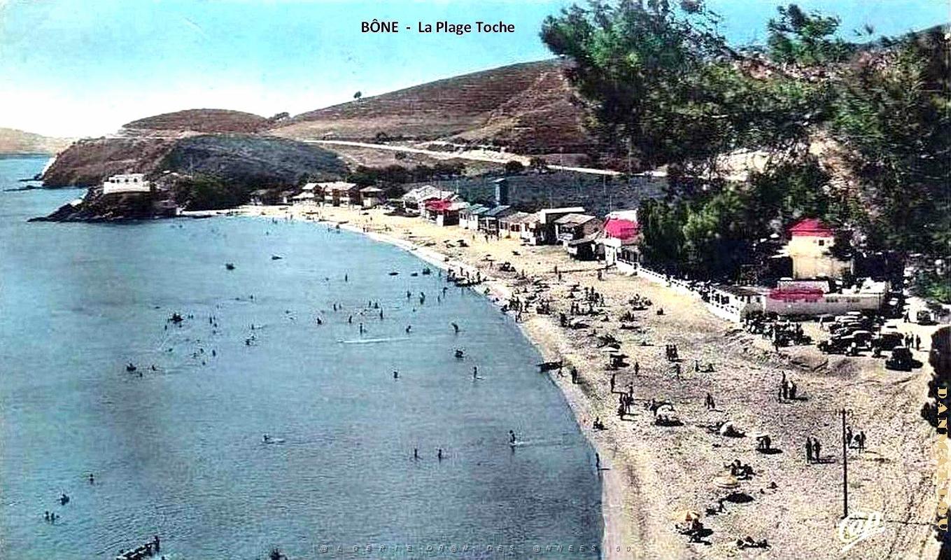 Bone - Plage Toche - 1955.jpg